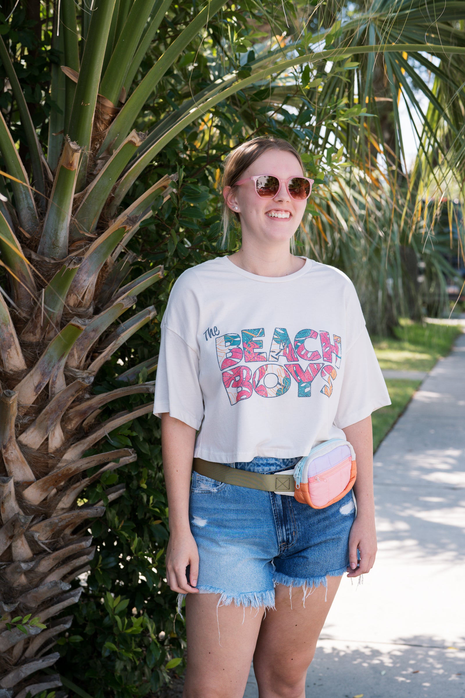 The Beach Boys Cropped Tee