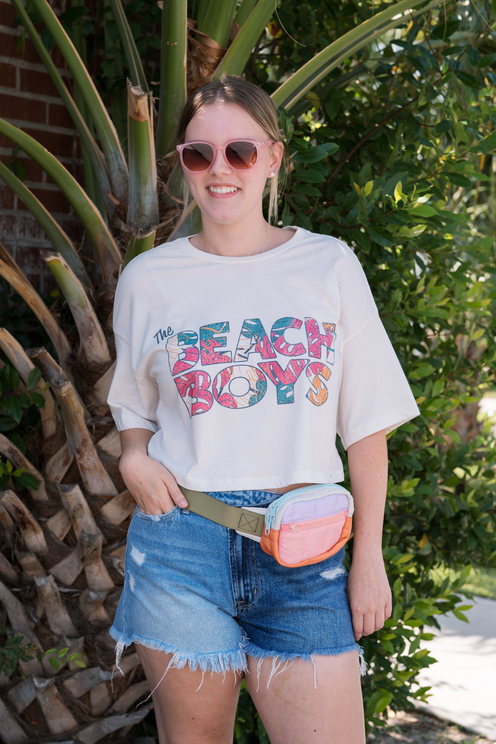 The Beach Boys Cropped Tee