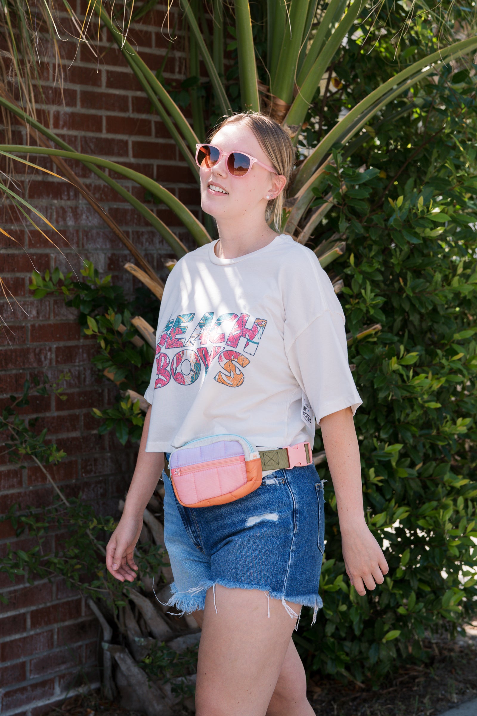 The Beach Boys Cropped Tee