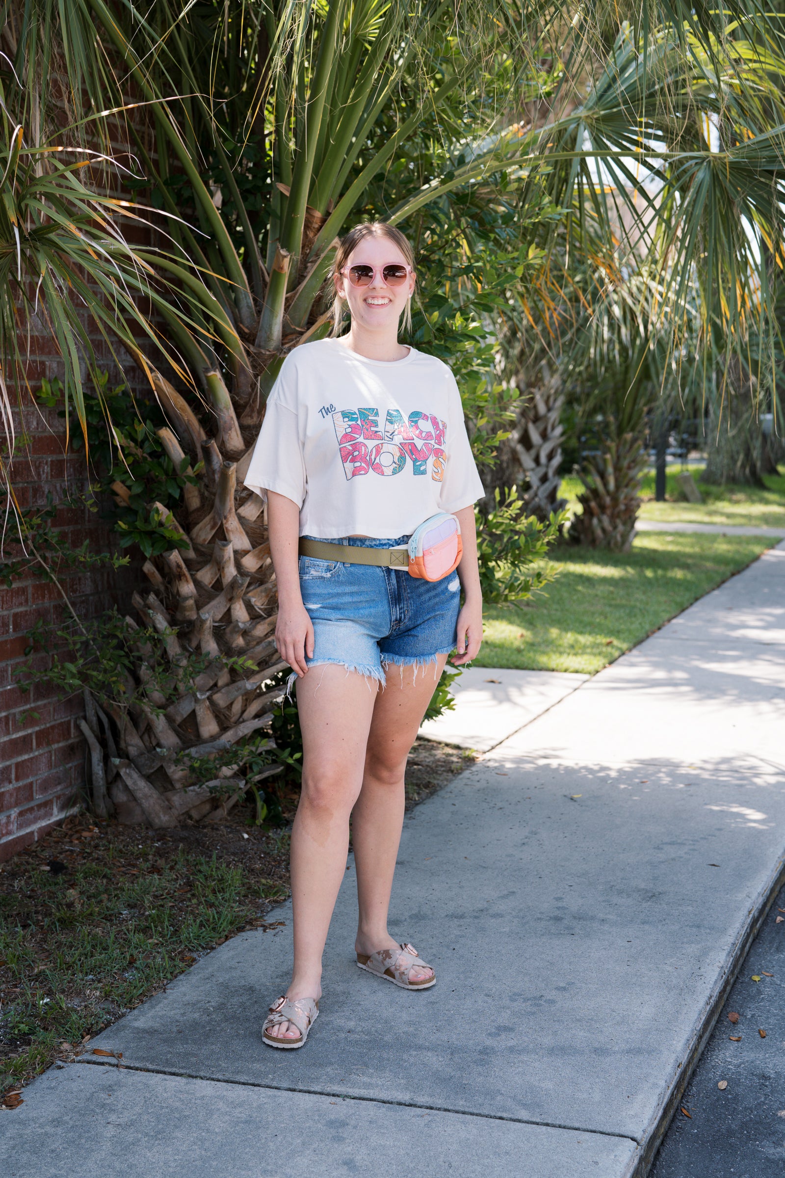 The Beach Boys Cropped Tee