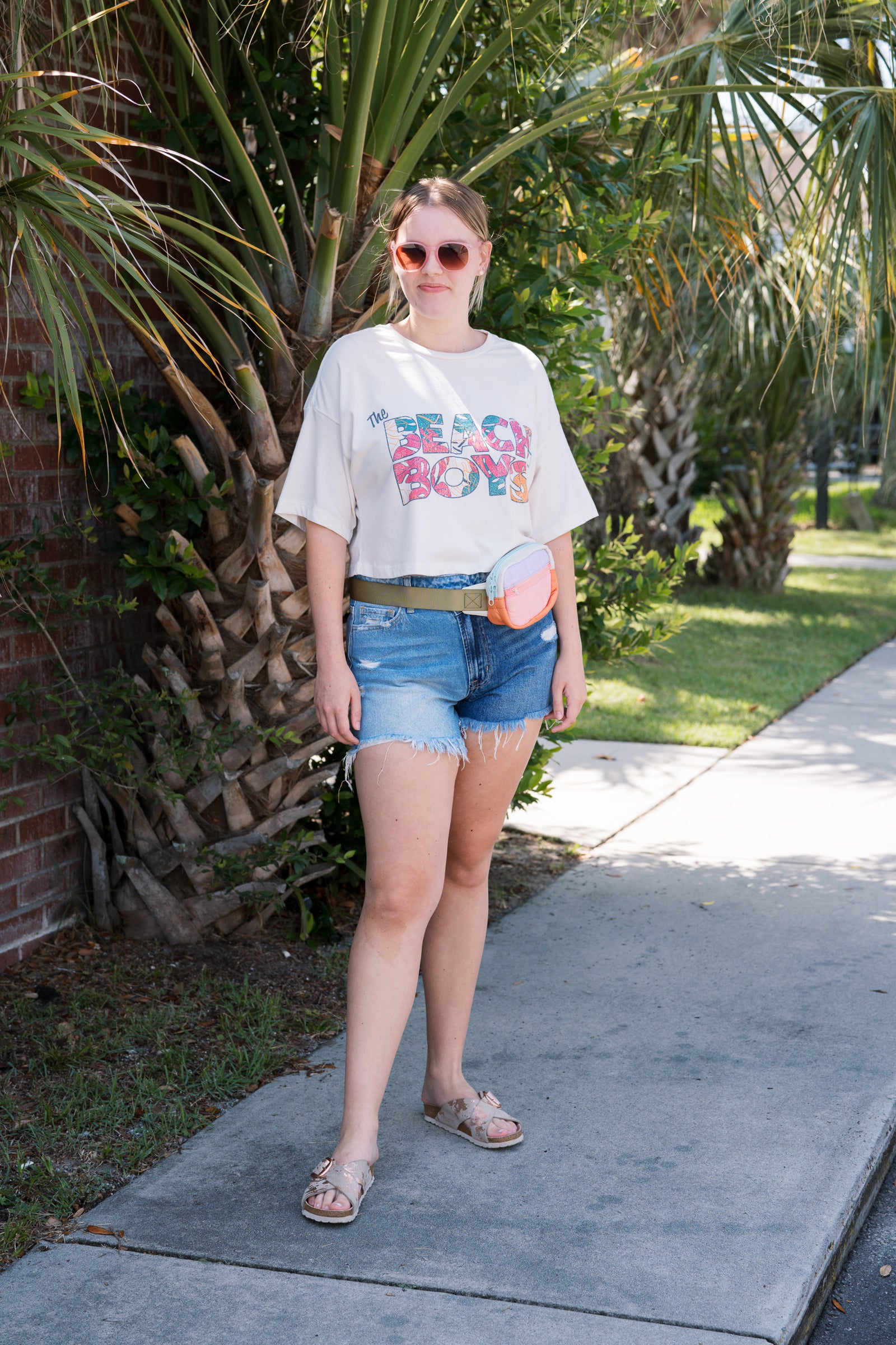 The Beach Boys Cropped Tee