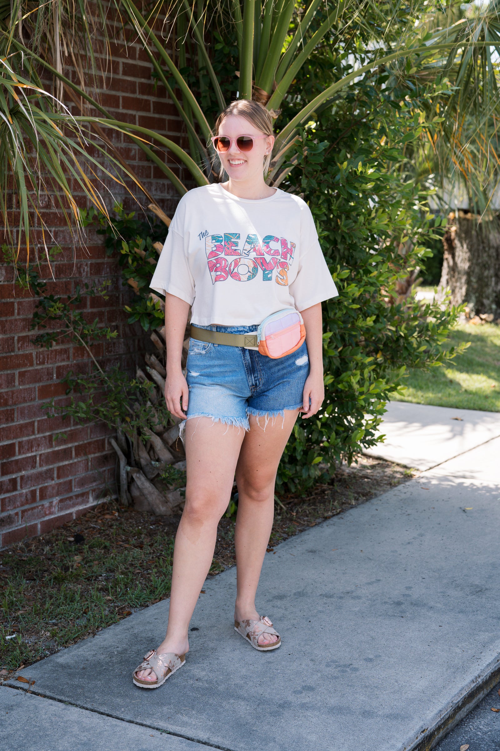 The Beach Boys Cropped Tee